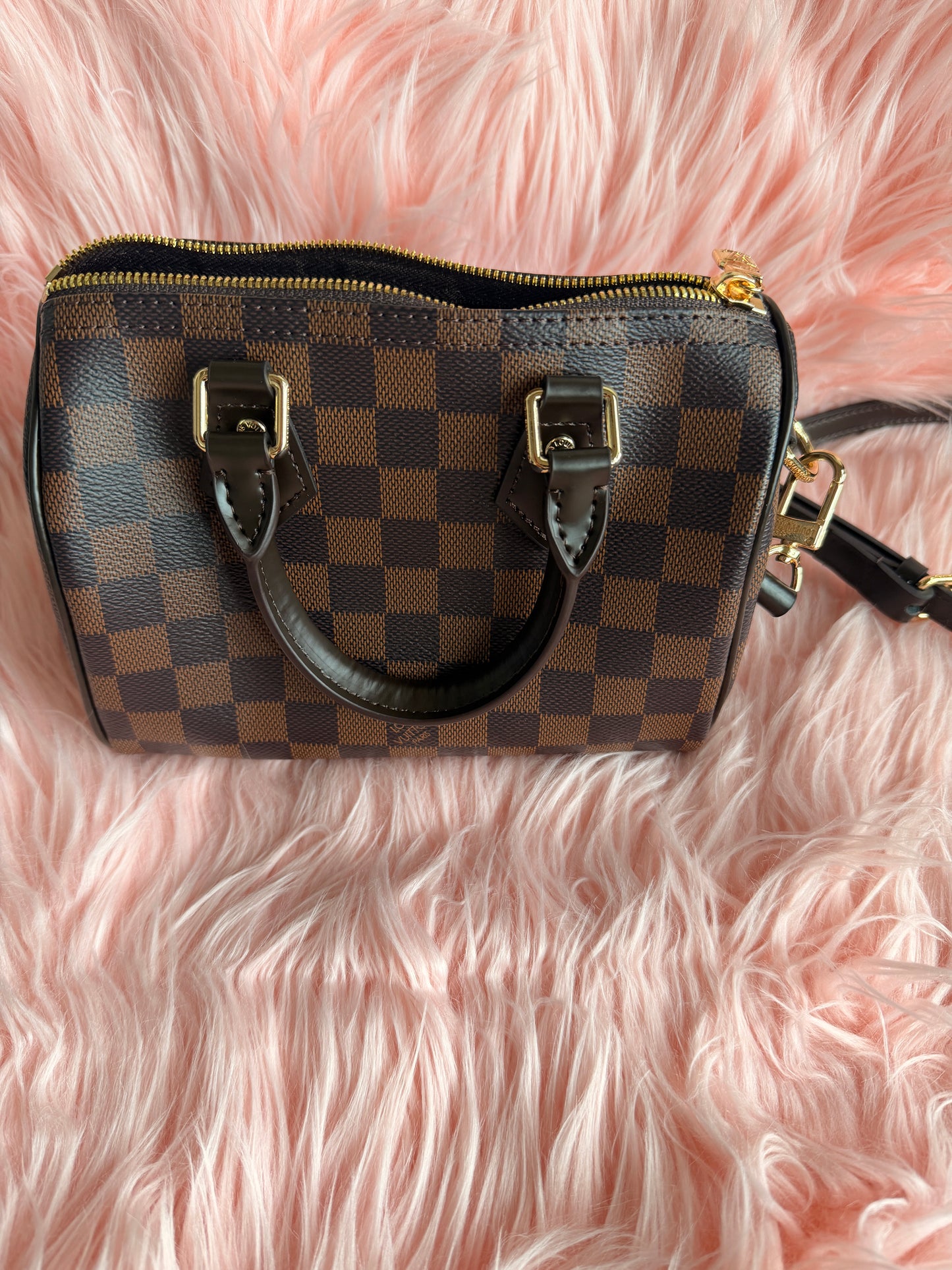 Louis Vuitton speedy 20